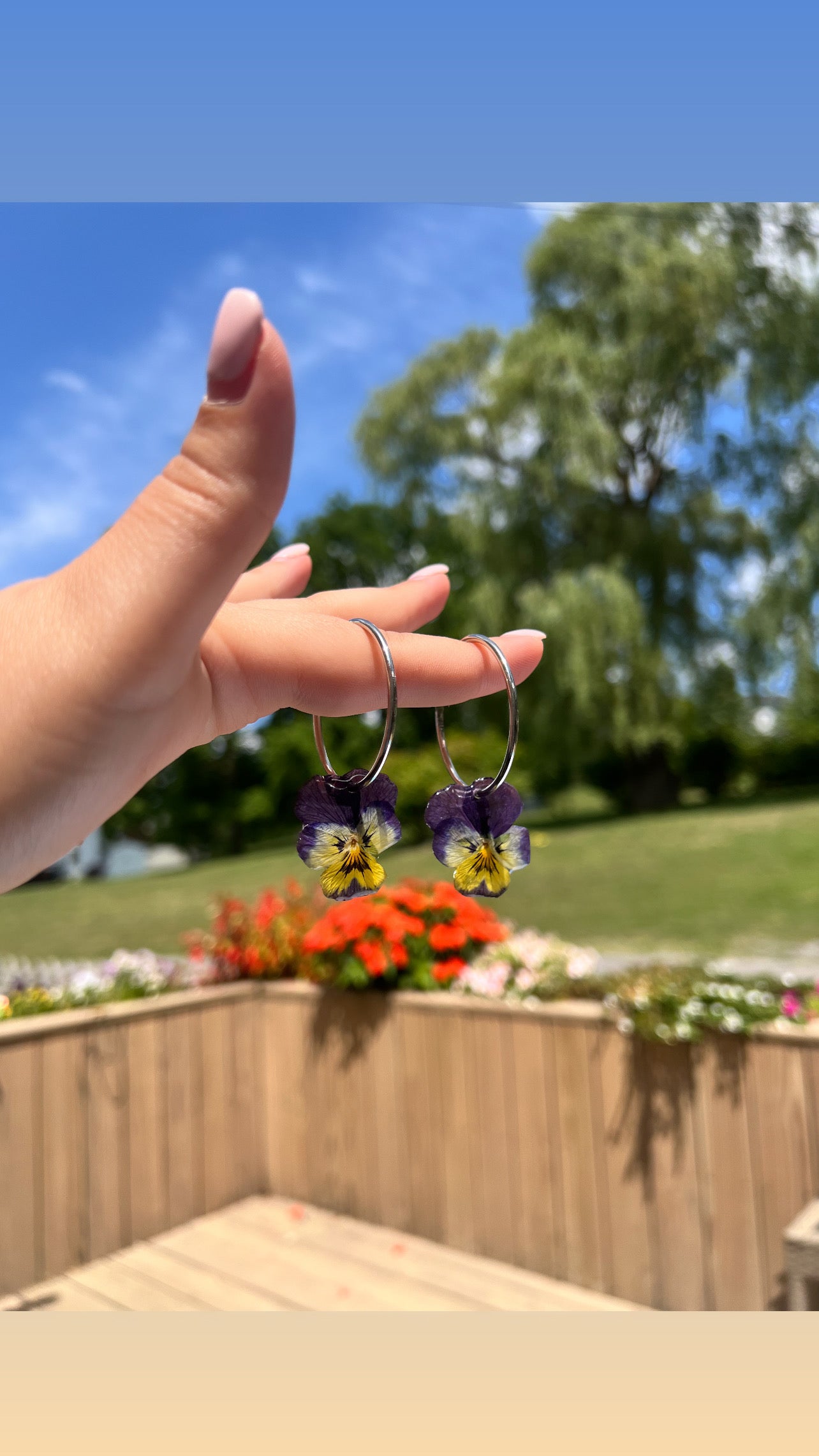 Pansy hoops