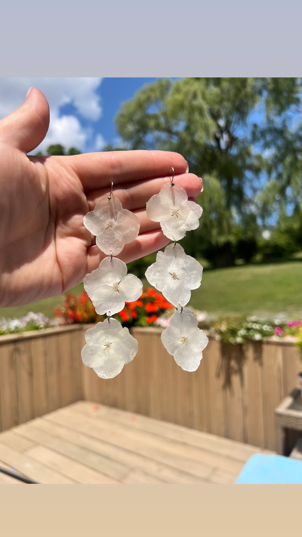 White Hydrangeas