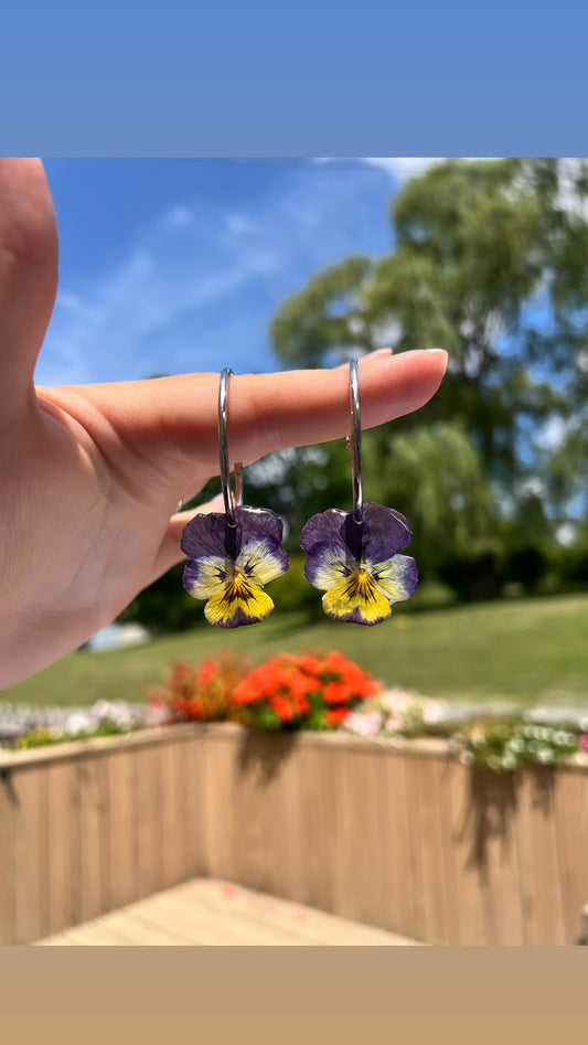 Pansy hoops